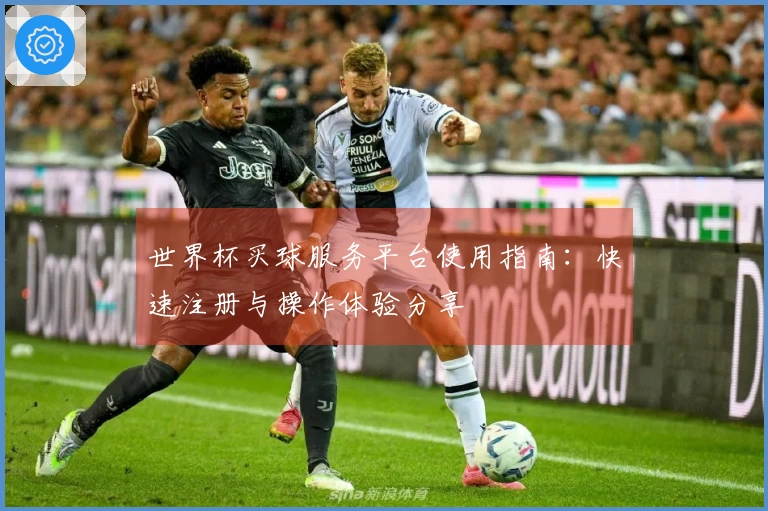 世界杯买球服务平台使用指南：快速注册与操作体验分享
