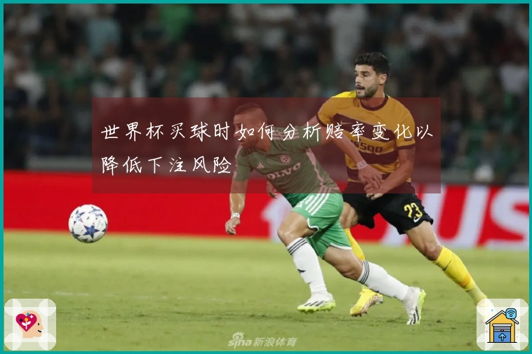 世界杯买球时如何分析赔率变化以降低下注风险
