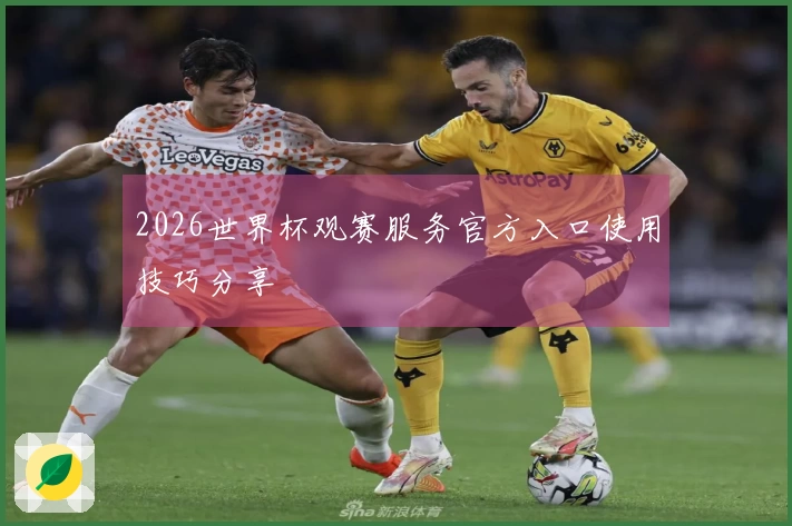 2026世界杯观赛服务官方入口使用技巧分享