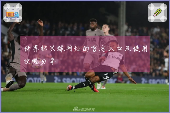 世界杯买球网址的官方入口及使用攻略分享