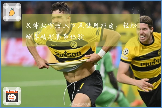 买球站官方入口及使用指南，轻松畅享精彩赛事体验