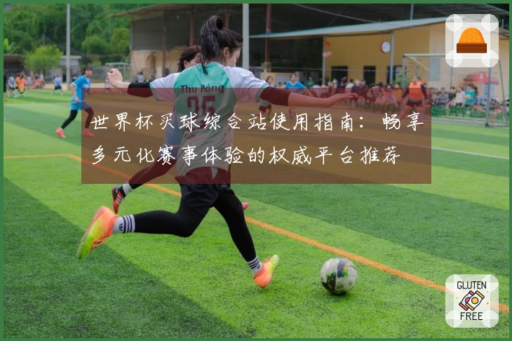 世界杯买球综合站使用指南：畅享多元化赛事体验的权威平台推荐