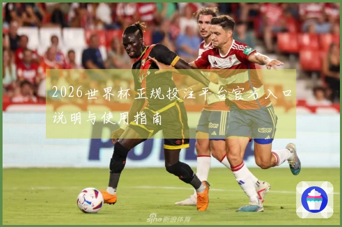 2026世界杯正规投注平台官方入口说明与使用指南