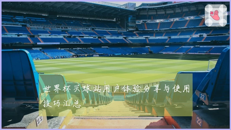 世界杯买球站用户体验分享与使用技巧汇总
