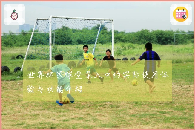 世界杯买球登录入口的实际使用体验与功能介绍