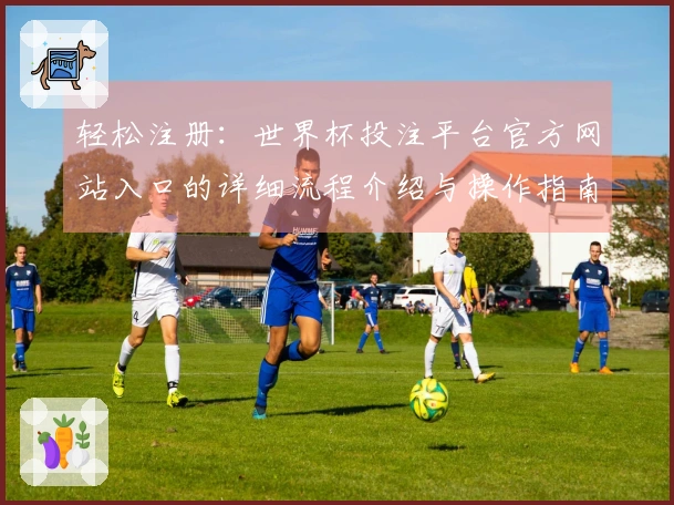 轻松注册:世界杯投注平台官方网站入口的详细流程介绍与操作指南