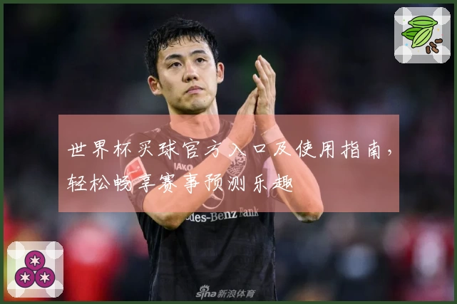 世界杯买球官方入口及使用指南，轻松畅享赛事预测乐趣