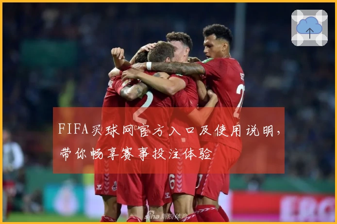 FIFA买球网官方入口及使用说明，带你畅享赛事投注体验