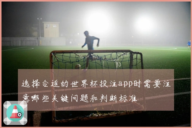 选择合适的世界杯投注app时需要注意哪些关键问题和判断标准