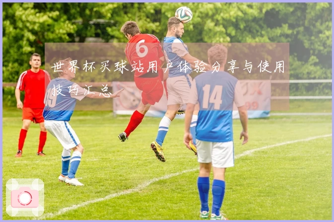 世界杯买球站用户体验分享与使用技巧汇总