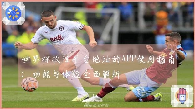 世界杯投注平台地址的APP使用指南：功能与体验全面解析