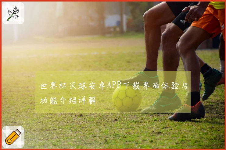 世界杯买球安卓APP下载界面体验与功能介绍详解