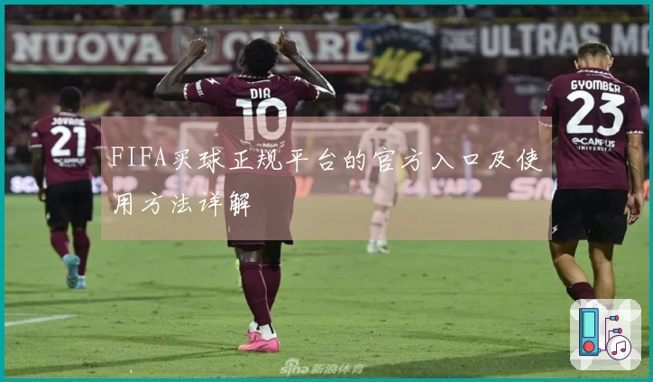 FIFA买球正规平台的官方入口及使用方法详解