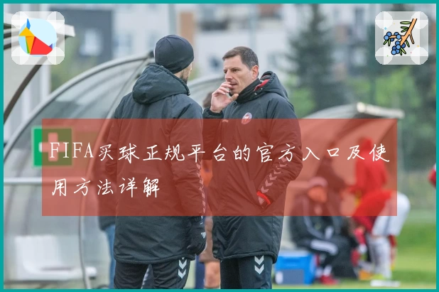 FIFA买球正规平台的官方入口及使用方法详解