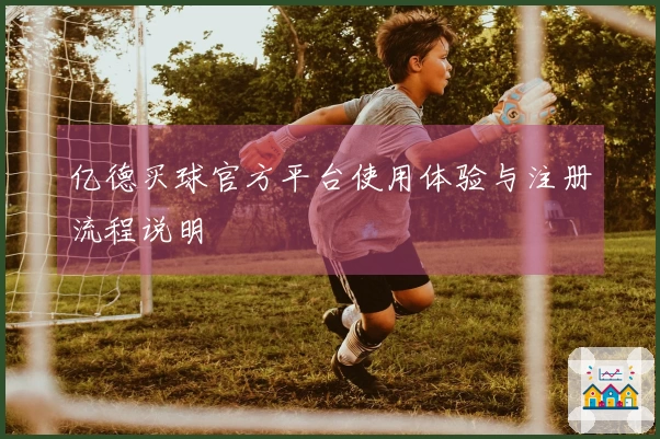 亿德买球官方平台使用体验与注册流程说明